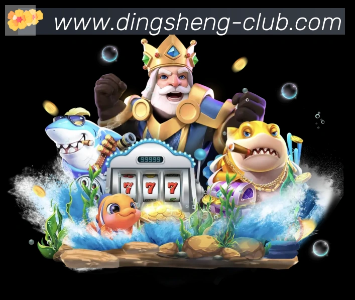 未来规划